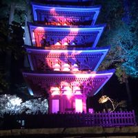 奈良近郊40代・50代以上  寺社仏閣•カフェ•美術館•博物館•ウォーキング