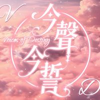 𝑽𝑫.聲誓啪涕奈💎