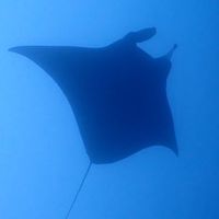 埼玉大学スキューバダイビングクラブ SUDC
