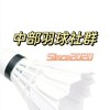 中部羽球臨打社群2020