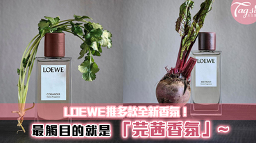 LOEWE推多款全新香氛！甜根菜、牛至、番茄葉！而最觸目的就是「芫茜香氛」~