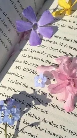 book girlie | พื้นที่หวีดหนังสือ