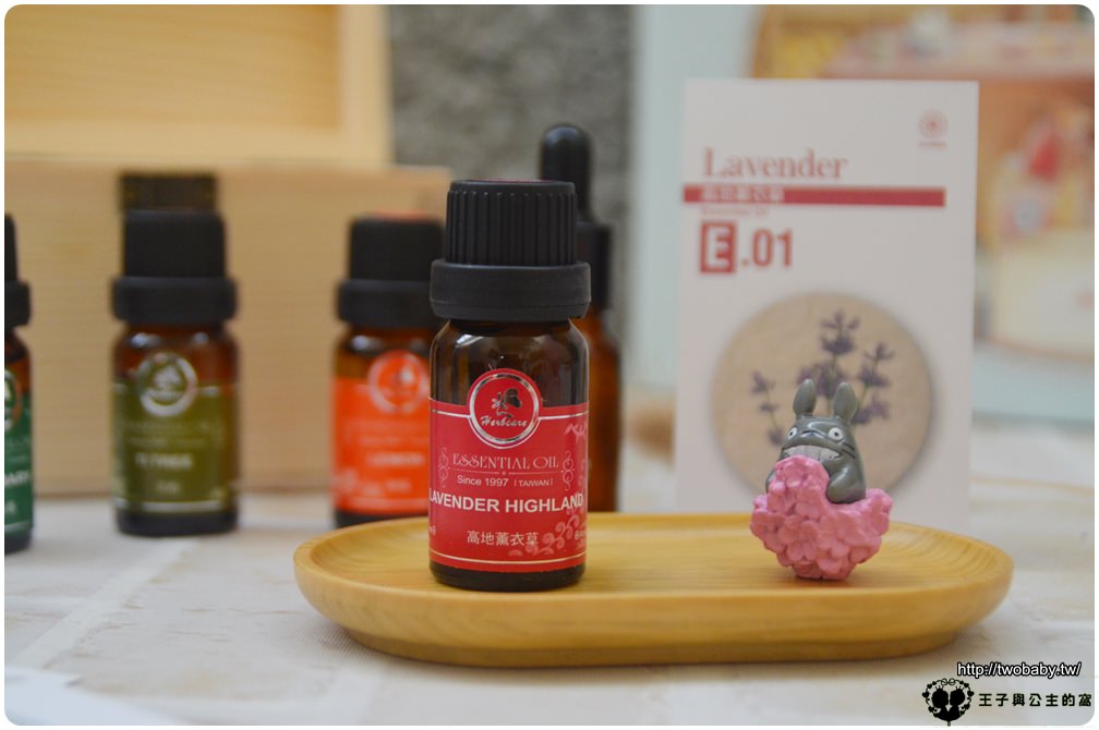 入門精油推薦|精油入門第一套-SPA天堂精油套組 Herbcare 香草魔法學苑 按摩也很好用