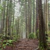 袋鼠不在家戶外知識交流群