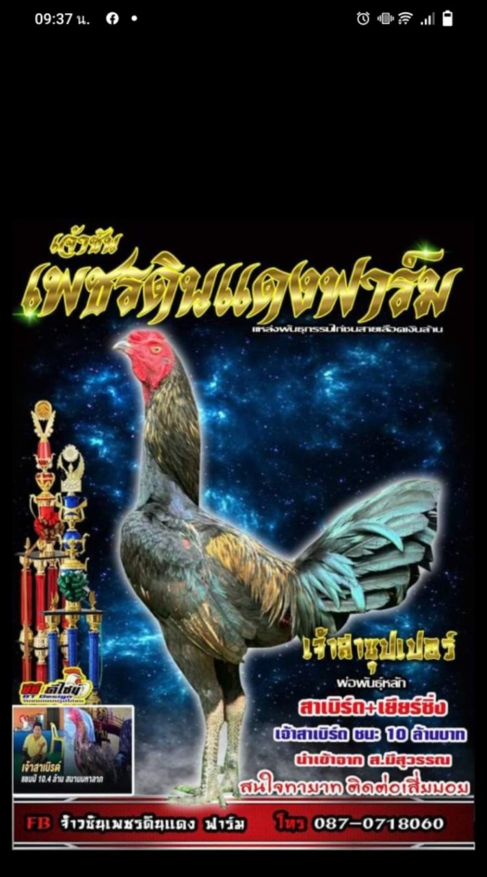 เพชรดินแดงฟาร์ม (จ้าวซัน)