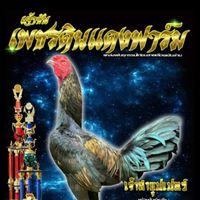 เพชรดินแดงฟาร์ม (จ้าวซัน)