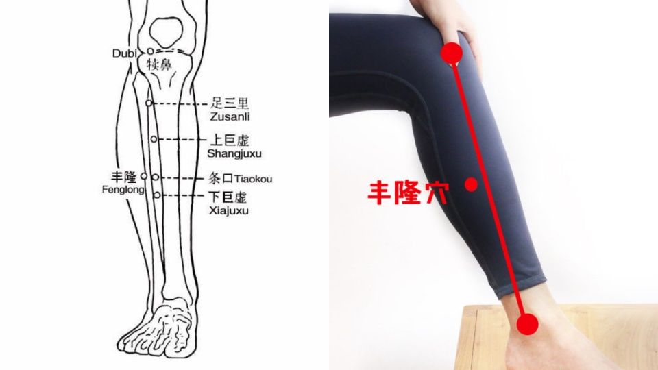 豐隆穴：可調理脾胃、解便秘