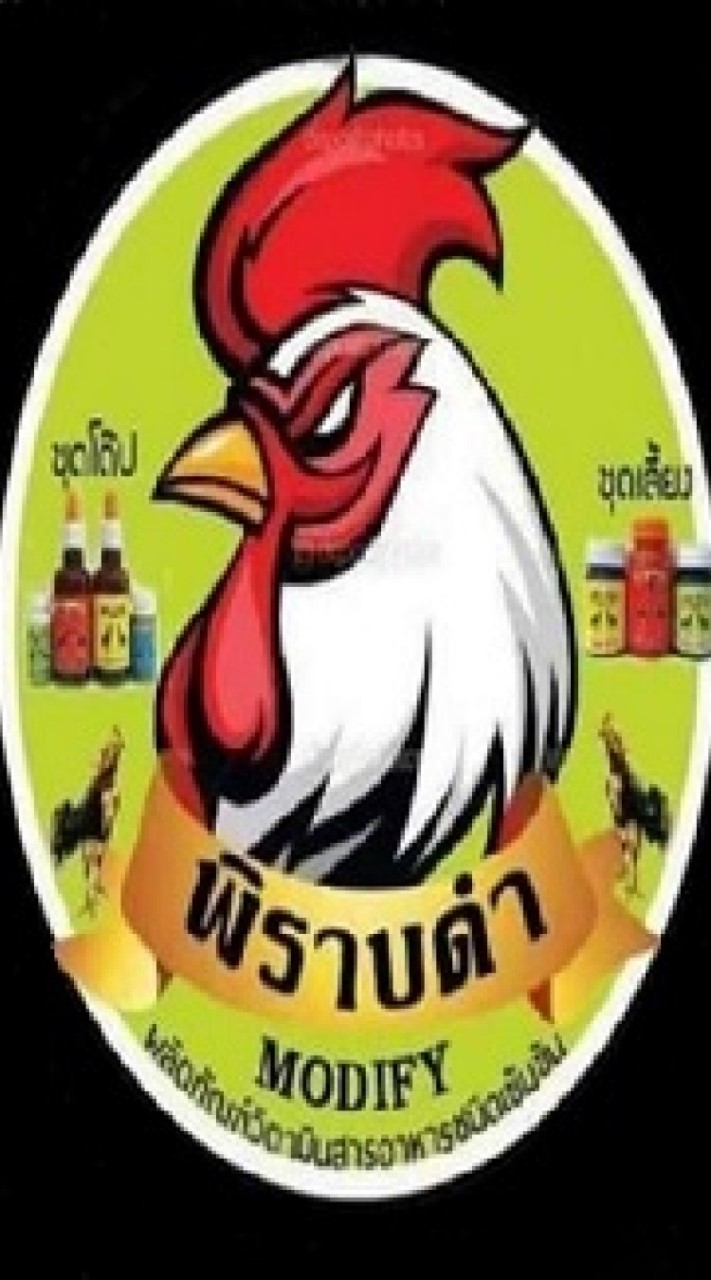 FC พิราบดำ ทีม