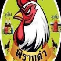 FC พิราบดำ ทีม