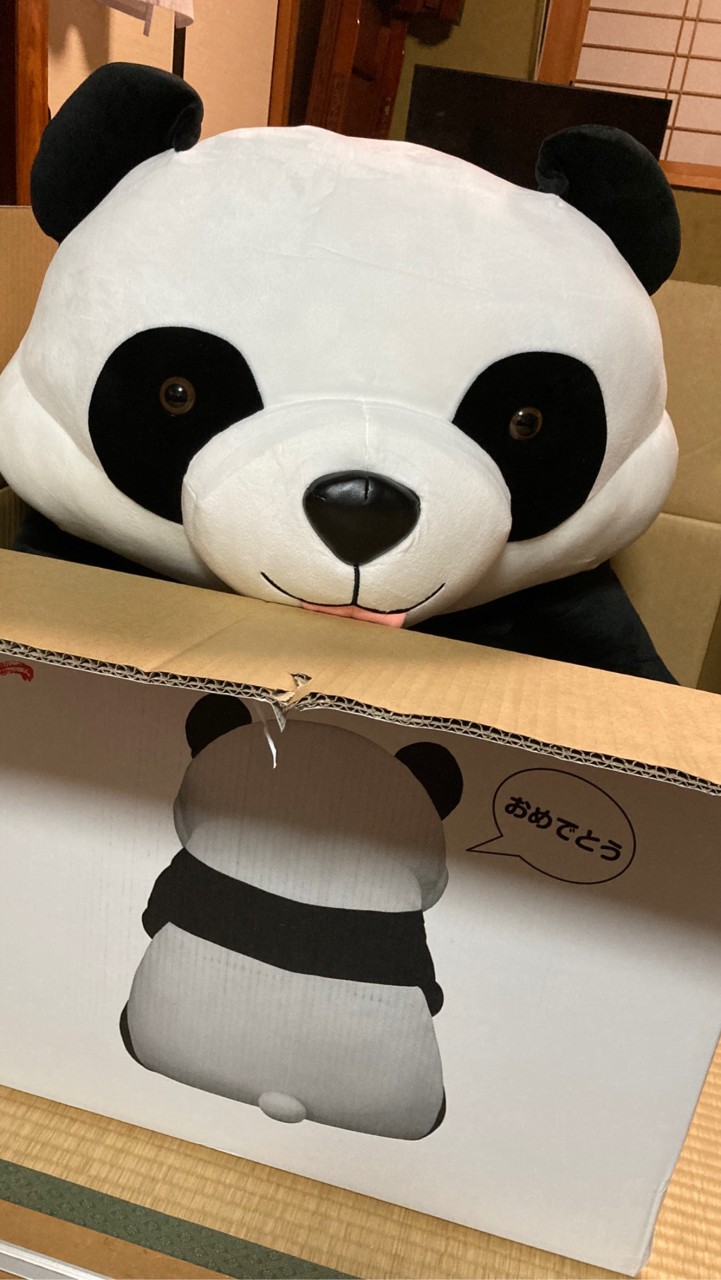 パンダ部屋🐼うつ病、双極性障害🍀心の休憩所