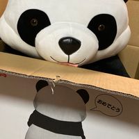パンダ部屋🐼うつ病、双極性障害🍀心の休憩所