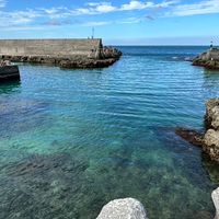 高雄船釣人（開放揪班,分享漁獲.釣遊.釣具買賣.現釣魚貨買賣.船隻買賣.)禁止非釣魚相關廣告