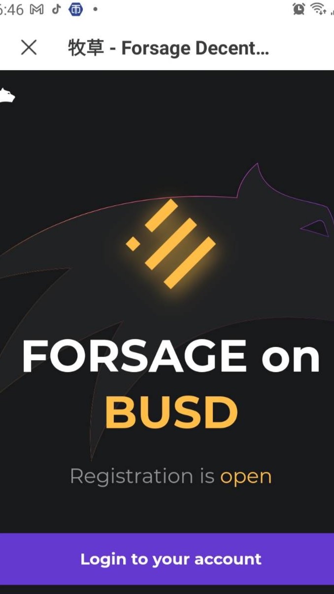 盧哥 Forsage會員專群