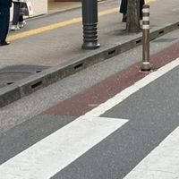 中受した人の部屋(ルール、制限、スパムなし)