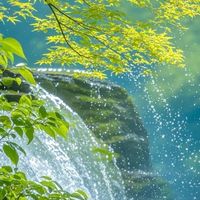 月德永欣