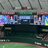 ジャイアンツを応援するメンバー