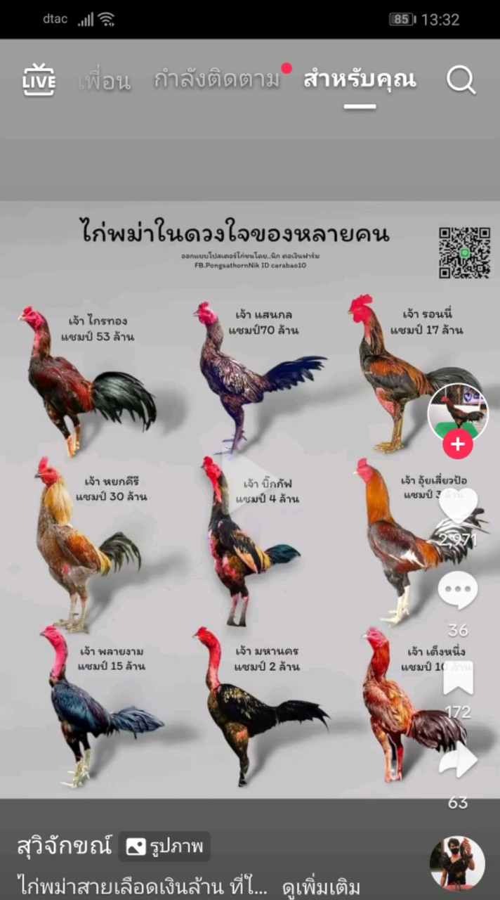 นันทิชา​ ฟาร์ม​