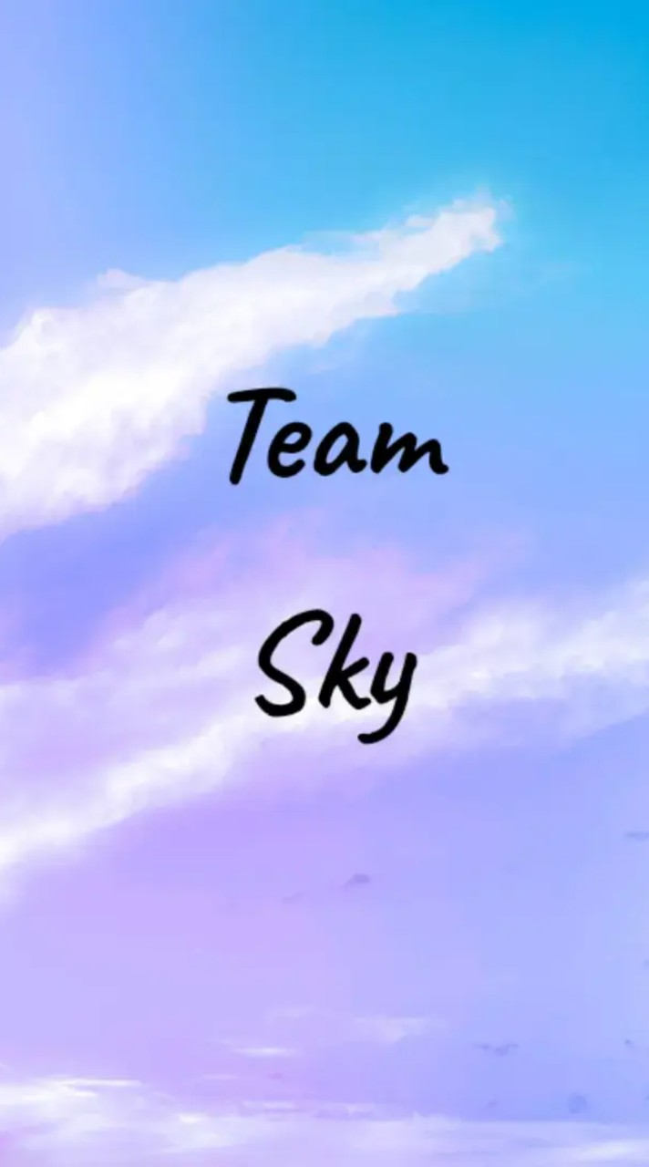 Team sky wars　（HIVE）