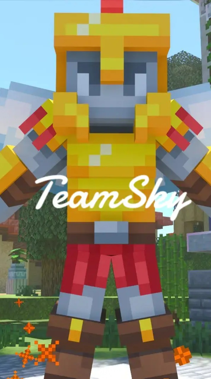 TeamSky