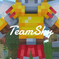 TeamSky