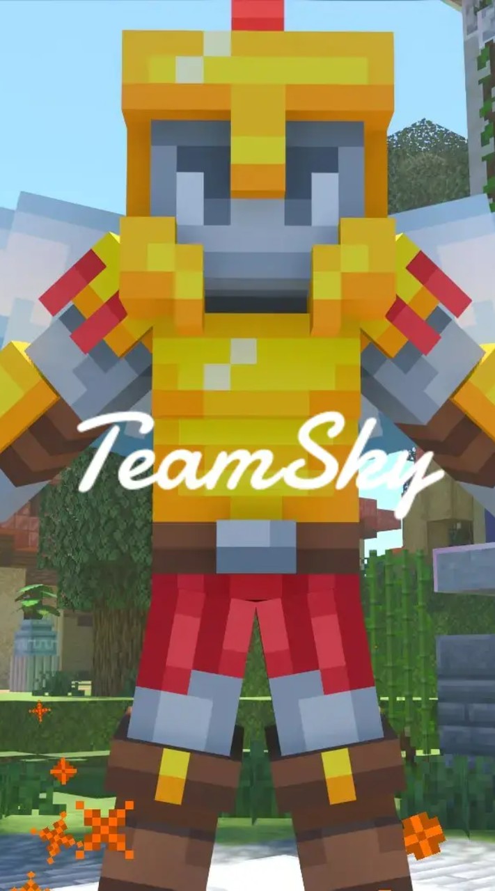 Team sky wars　（HIVE）