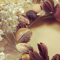 五寶媽的優雅退休 不一樣的思惟 可以有很不一樣生活