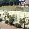 ソフトテニス　初心者大歓迎！中学生、高校生