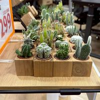 台南特力DIY交流室