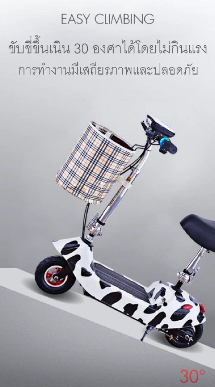 Scooter ไฟฟ้า สกู๊ตเตอร์ไฟฟ้า ขาไถ แรงๆ ราคาถูก