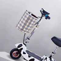 Scooter ไฟฟ้า สกู๊ตเตอร์ไฟฟ้า ขาไถ แรงๆ ราคาถูก