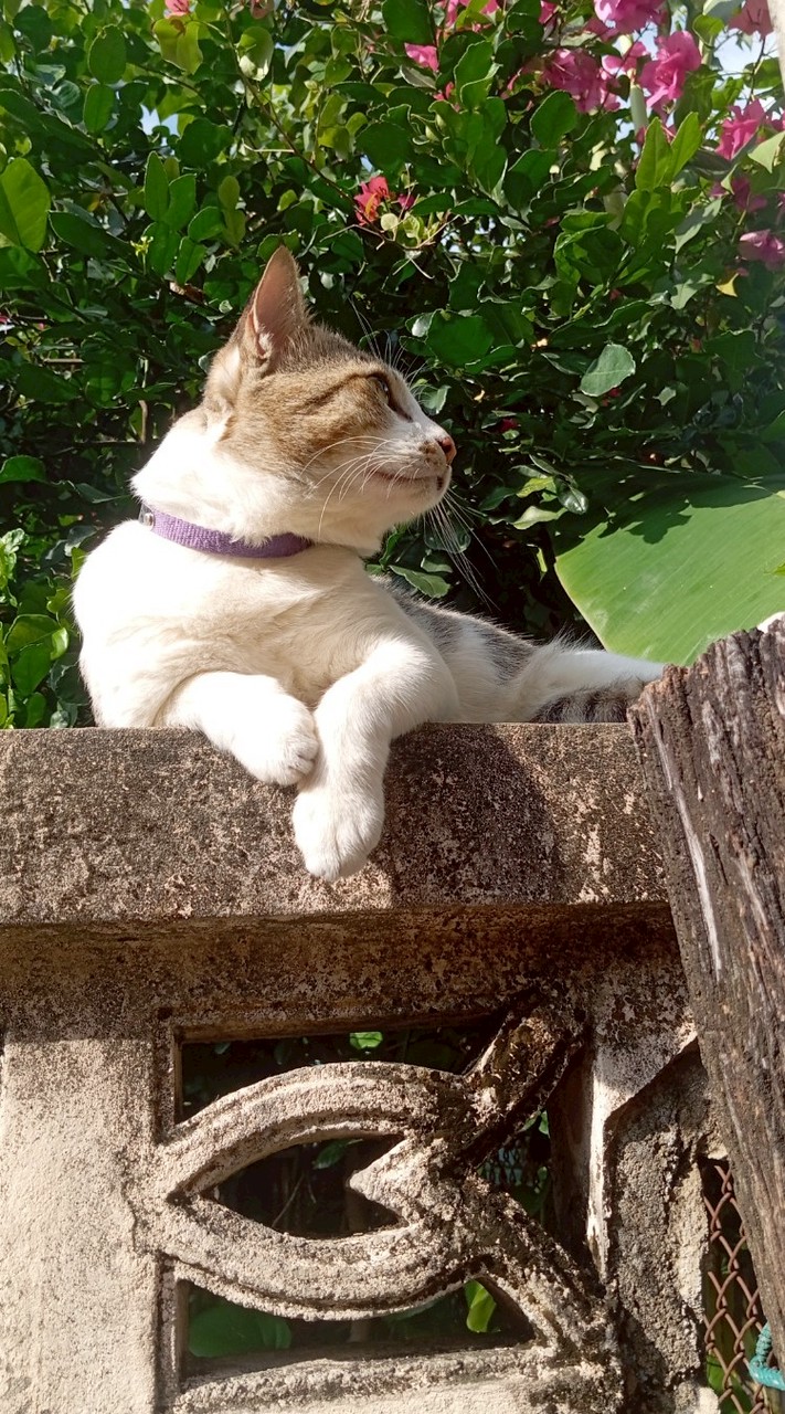 กลุ่มคุยเล่น/ปรึกษาปัญหาชีวิต