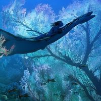 Avatar of Pandora