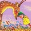 正牌領隊｜🇰🇷韓國代購