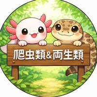 爬虫類&両生類愛好会！