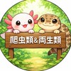 爬虫類&両生類愛好会！