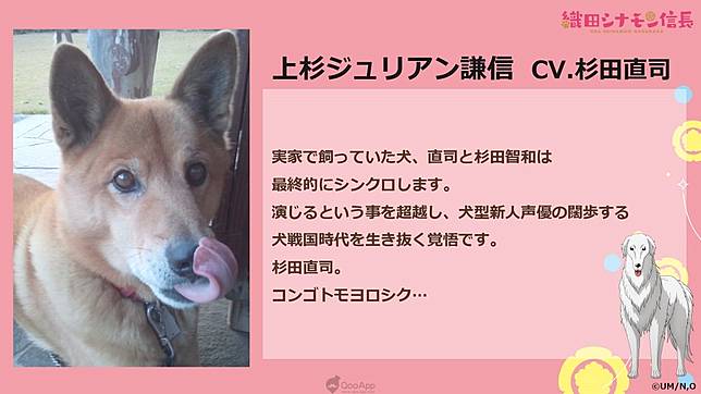 聲優是 櫻犬孝宏 鈴村犬一 坂犬真綾 織田肉桂信長 公開 謎之新人聲優 陣容與寫實版宣傳影片 Qooapp Line Today