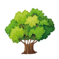 盈采榕樹班（112年畢業）