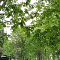 60代の変わり者大集合(⁠^⁠^⁠)