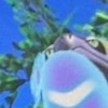 ポケモン 也  しましょっ !!