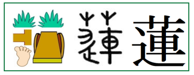 蓮 湊 凜 実は平成以降に名前に使えるようになった人気の漢字