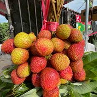 ㄧ八農場玉荷苞荔枝