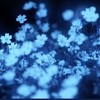 ♠ ❖  ✦ ──『✙ country humans ชายล้วน 』✦ ── ❖ ♦