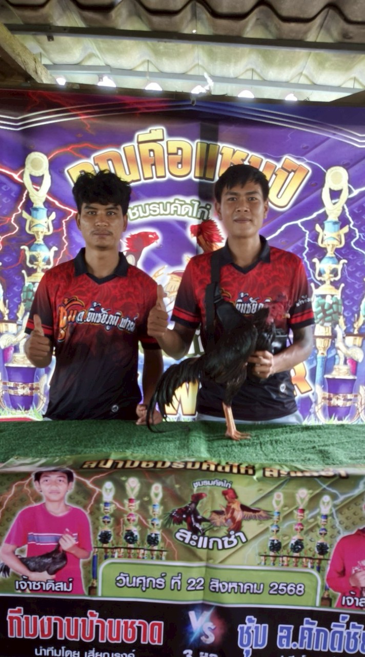 ซุ้มไก่ชน ต.ยิ้มชัยภูมิฟาร์ม สังกัด ทีมงานป๋าตุ๋ง