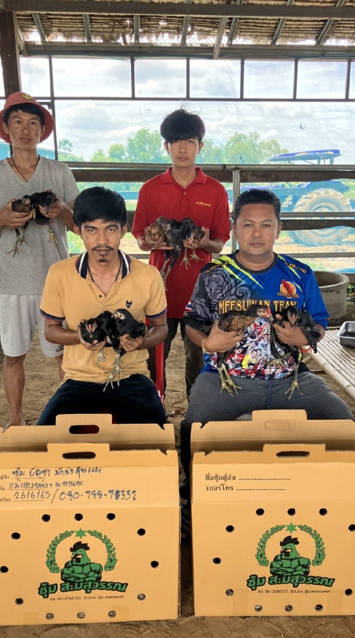 กลุ่ม2 ซุ้มบัญชาม้าล่อสายส.มีสุวรรณ