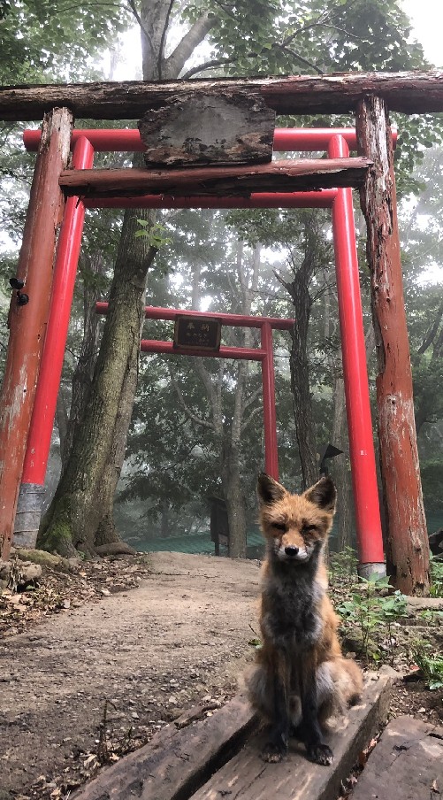 稲荷神社のオープンチャット