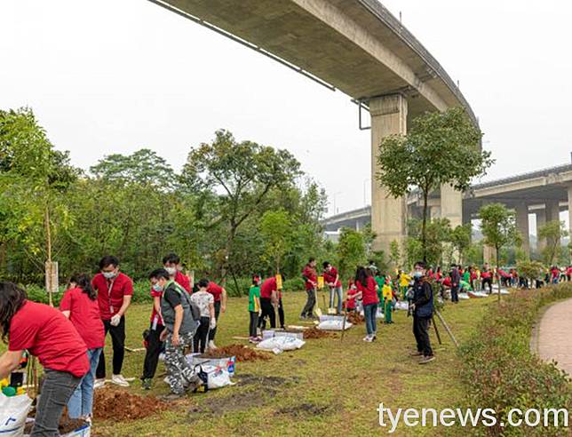 台積電植樹薪傳計畫提升桃園綠覆率 桃園電子報 Line Today