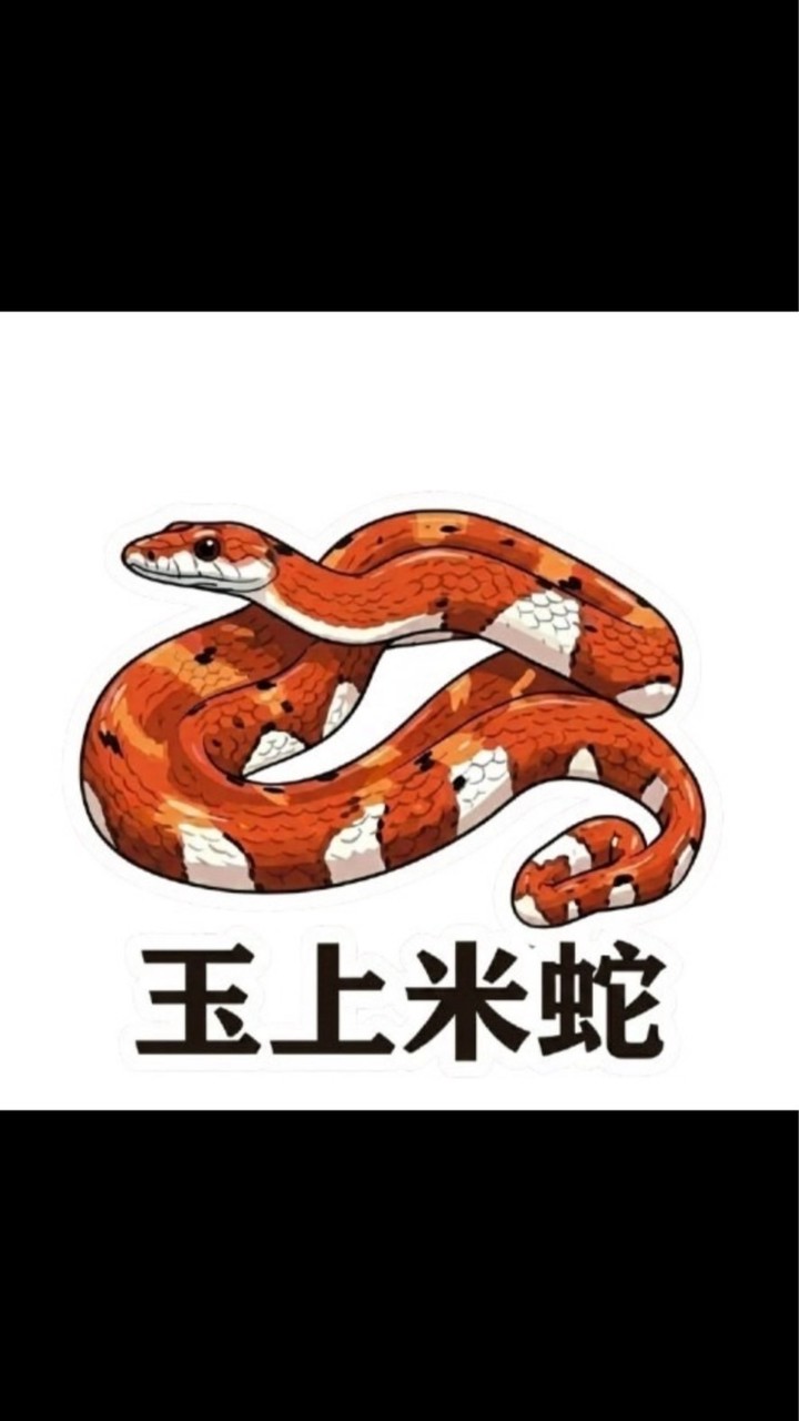 玉上米蛇。交易交流