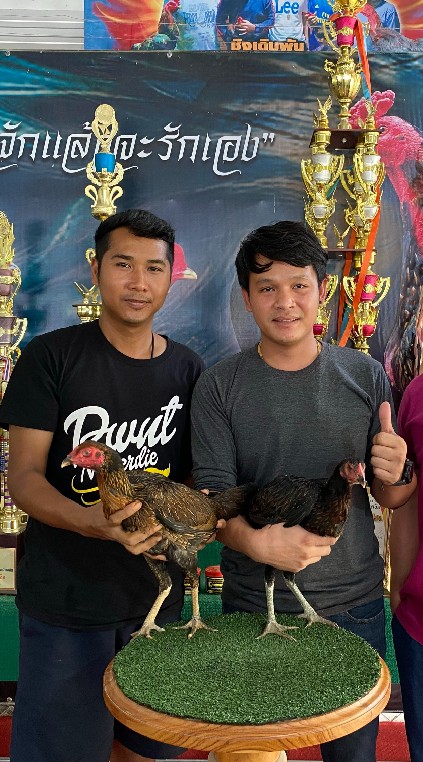 PN ฟาร์ม​ไก่ชน​ กุฉินารายณ์กาฬสินธุ์