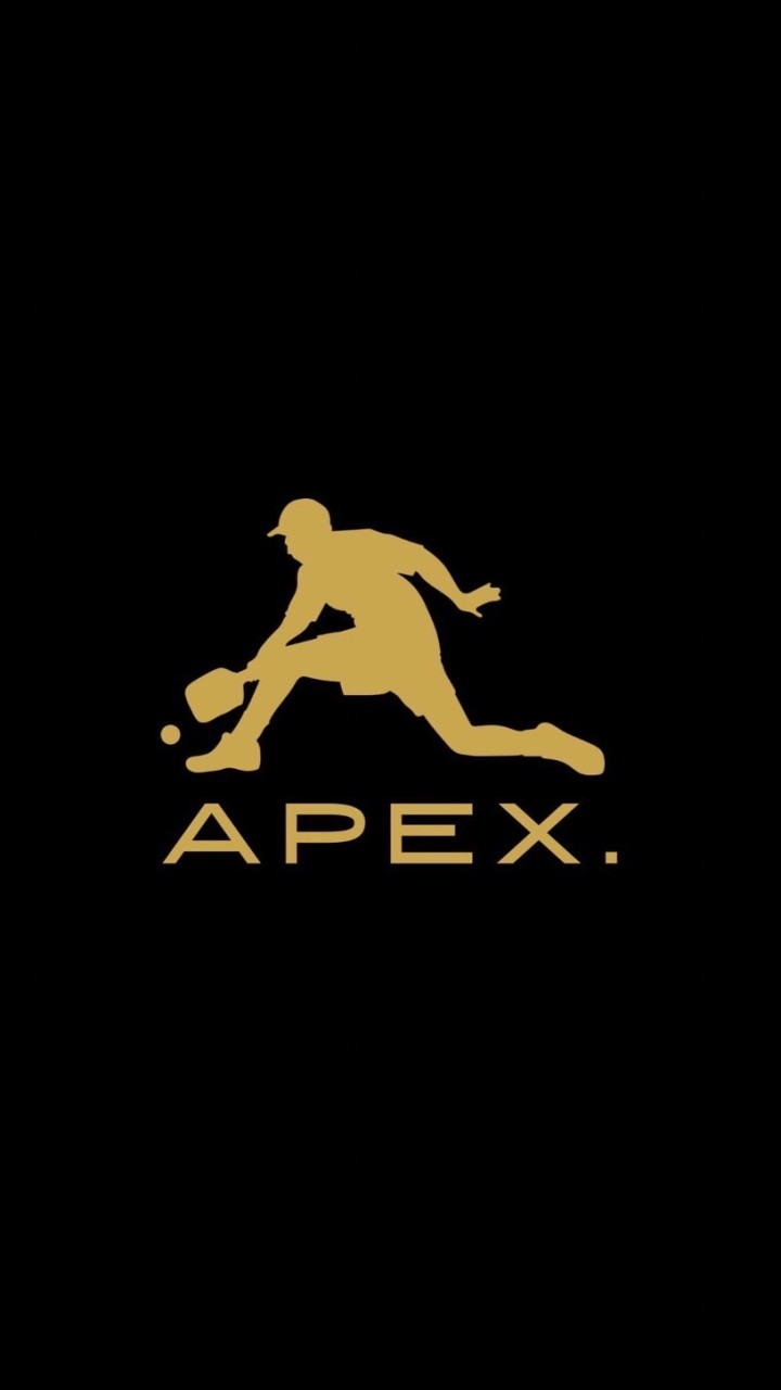 PICKLE BALL 【APEX】