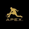 PICKLE BALL 【APEX】